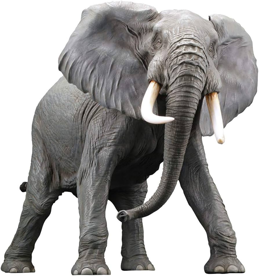 Amazon | メガソフビアドバンス アフリカゾウ リデコ版 ソフトビニール