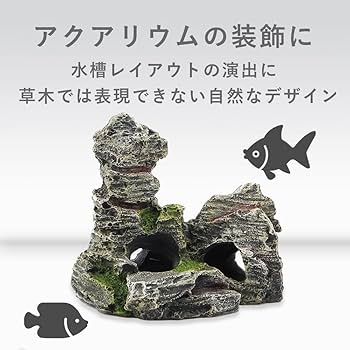 61WGSp6NDqL._AC_UF350,