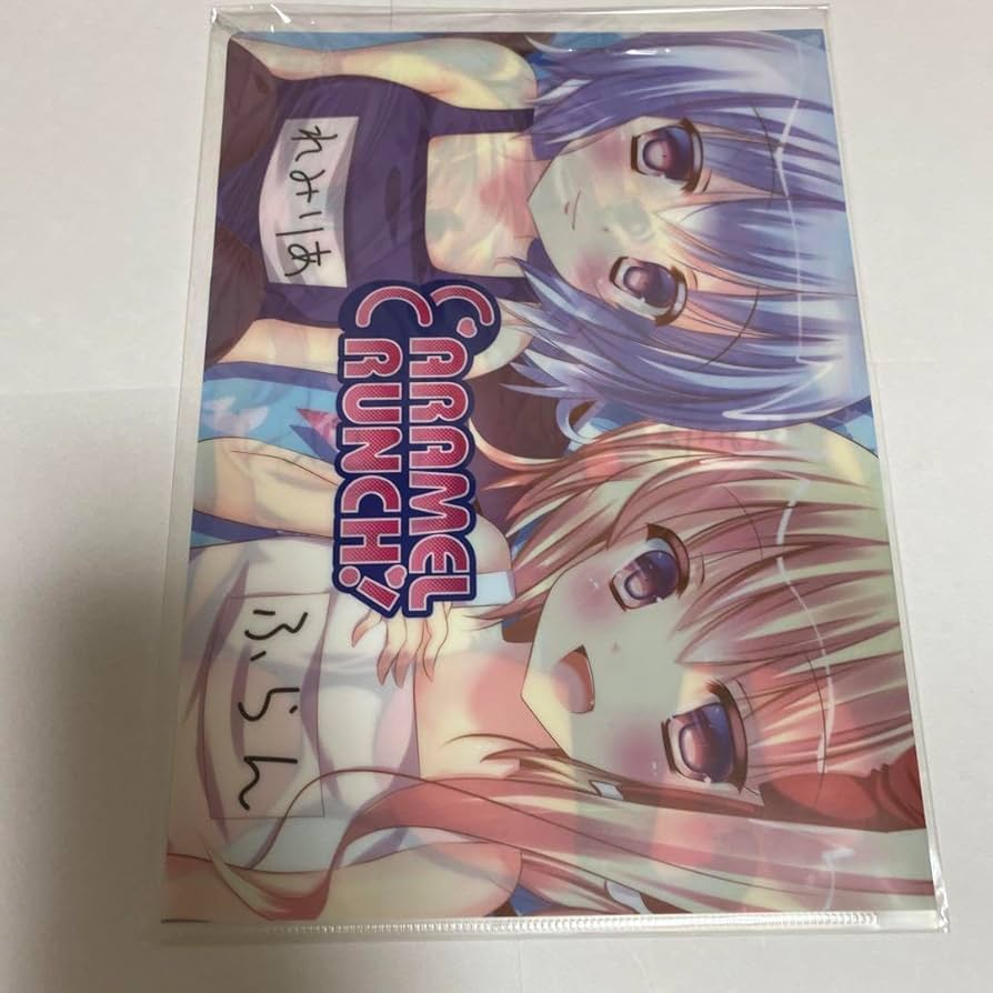 東方プロジェクト こいし フラン 水着 美少女 クリアファイル VY3