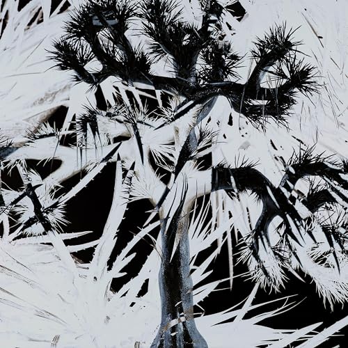 Plastic Tree ポスター 有村竜太朗 Plastic Tree 有村竜太朗