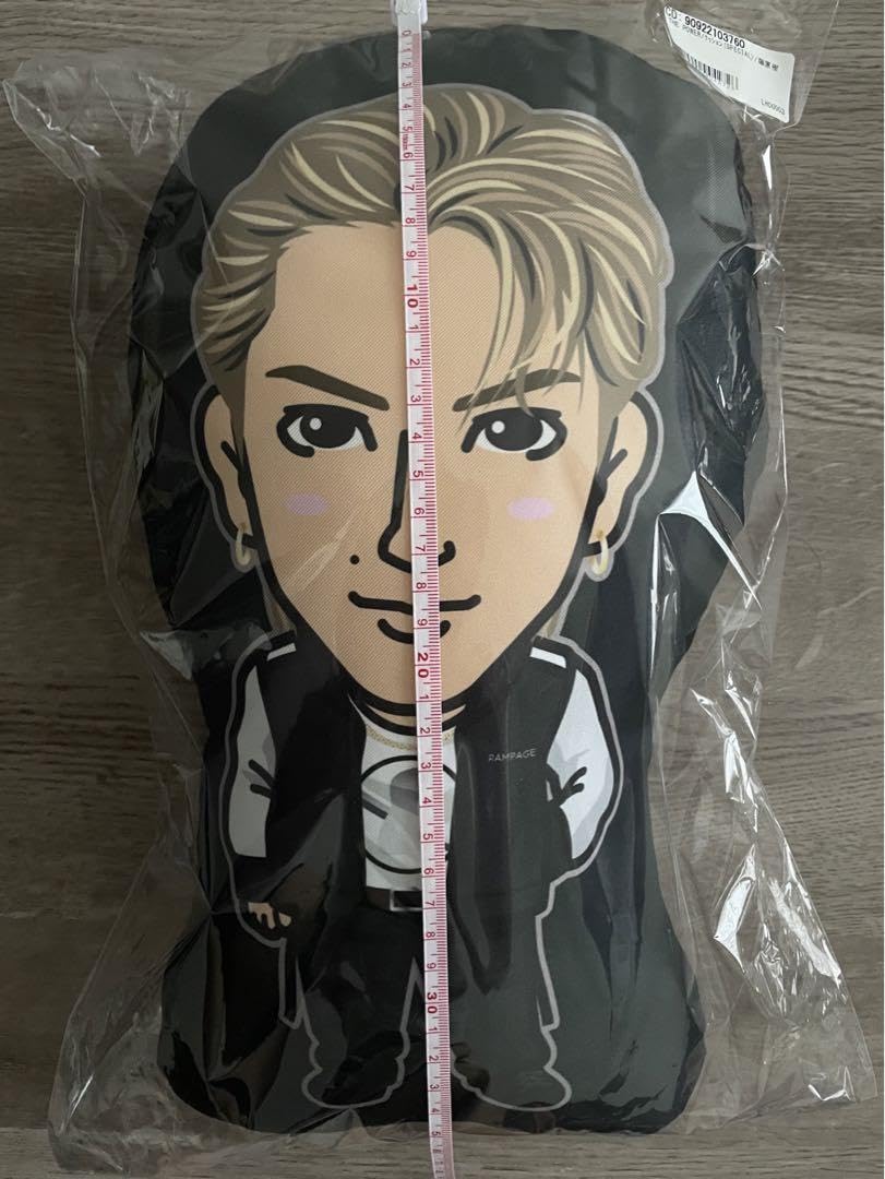 藤原樹 クッション 藤原樹 クッション 【公式通販】