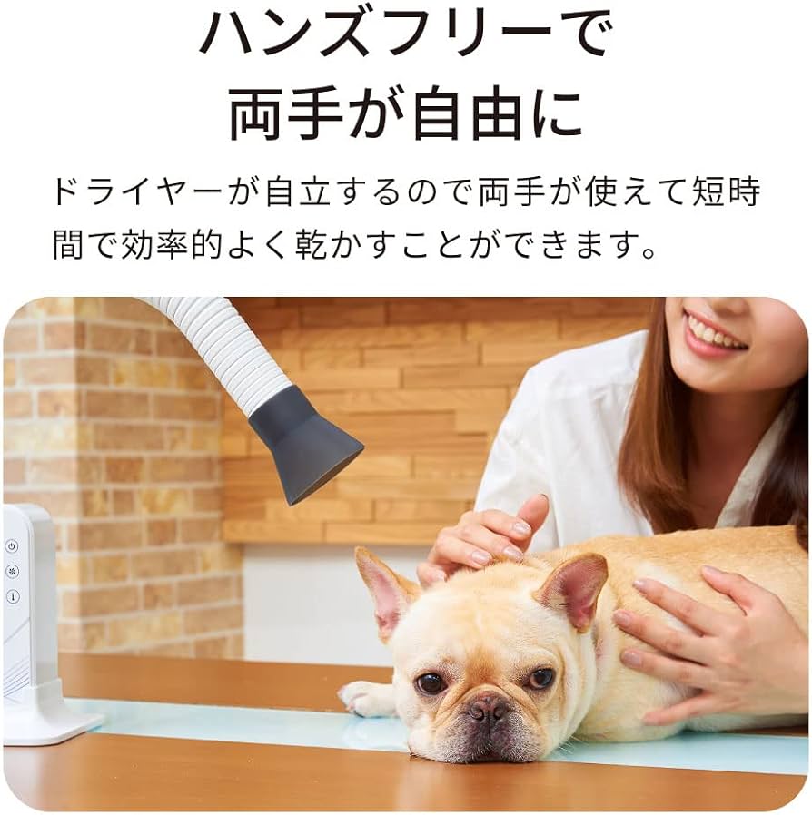 Amazon | 【OFT】 Alizee ハンズフリー ドライヤー ペット ドライヤー