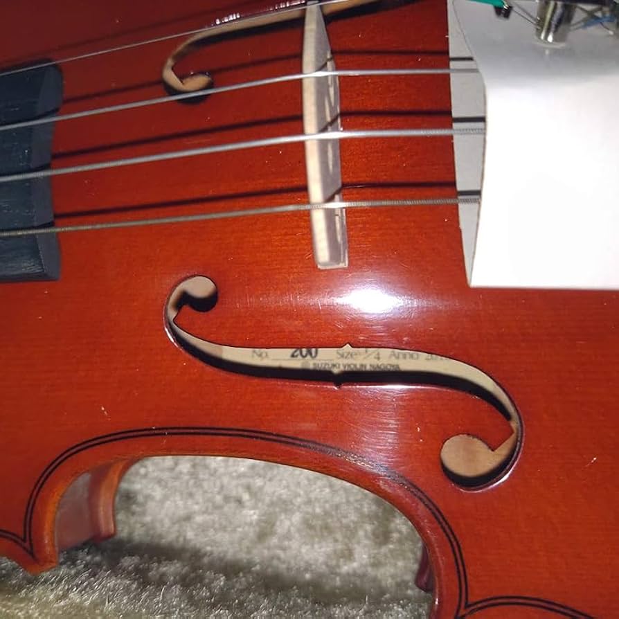 Amazon | スズキ アウトフィットバイオリン No.200 1/4 | バイオリン