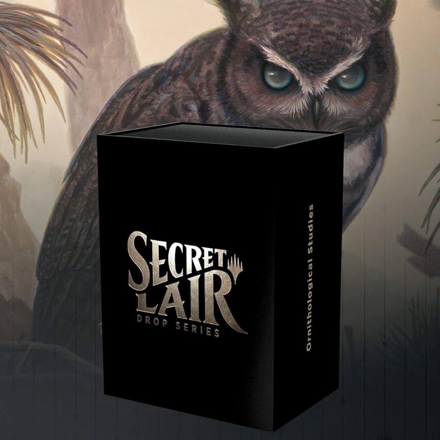 Amazon.com: Magic: The Gathering TCG - Secret Lair Drop Series