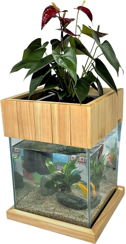 Amazon | せせらぎビオトープ 水替え不要【水槽セット】 25cm型【木枠