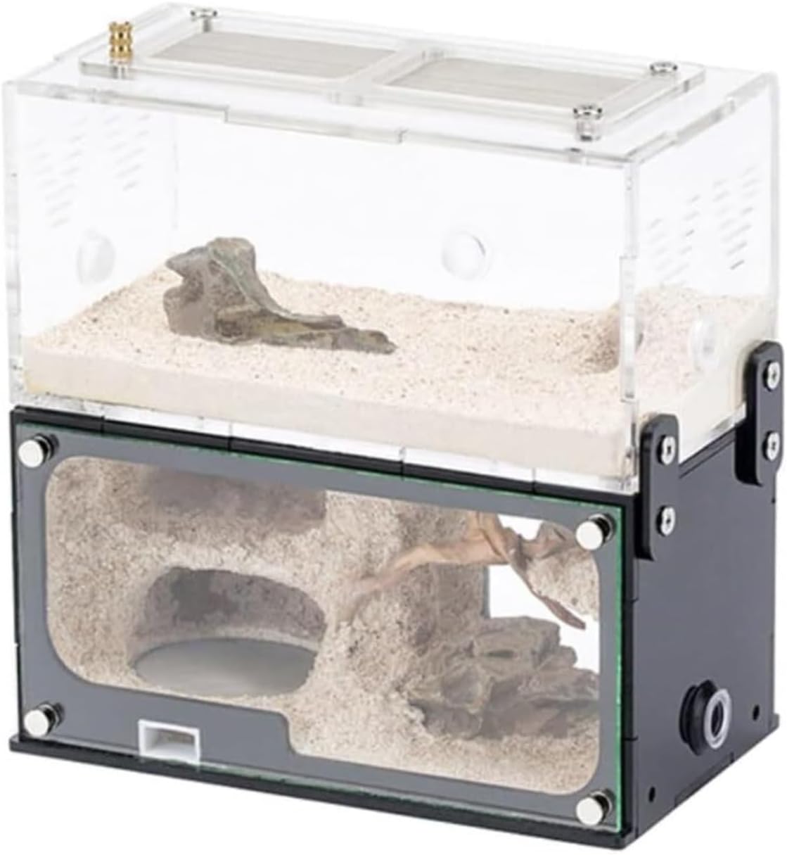 アクリル製アリ飼育キット 自然な岩レイアウト 虫かご・飼育ケース