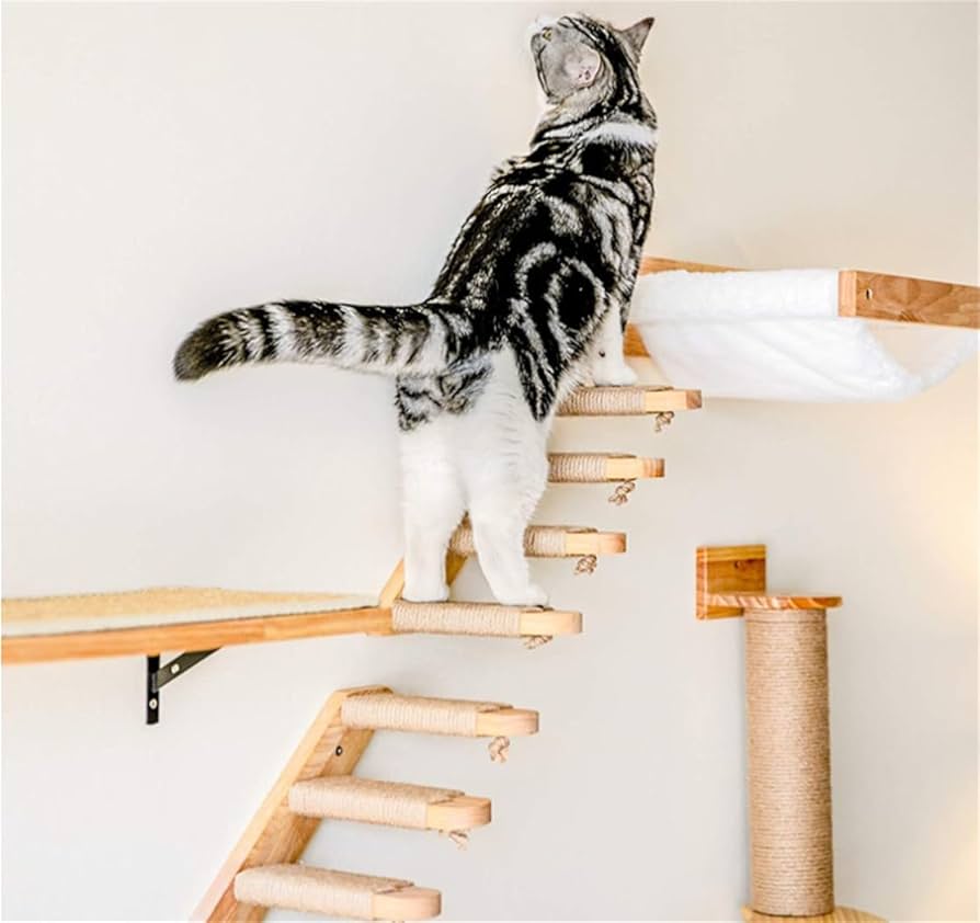 Amazon | キャットタワー 猫 壁掛け式猫用階段 キャットウォーク 壁