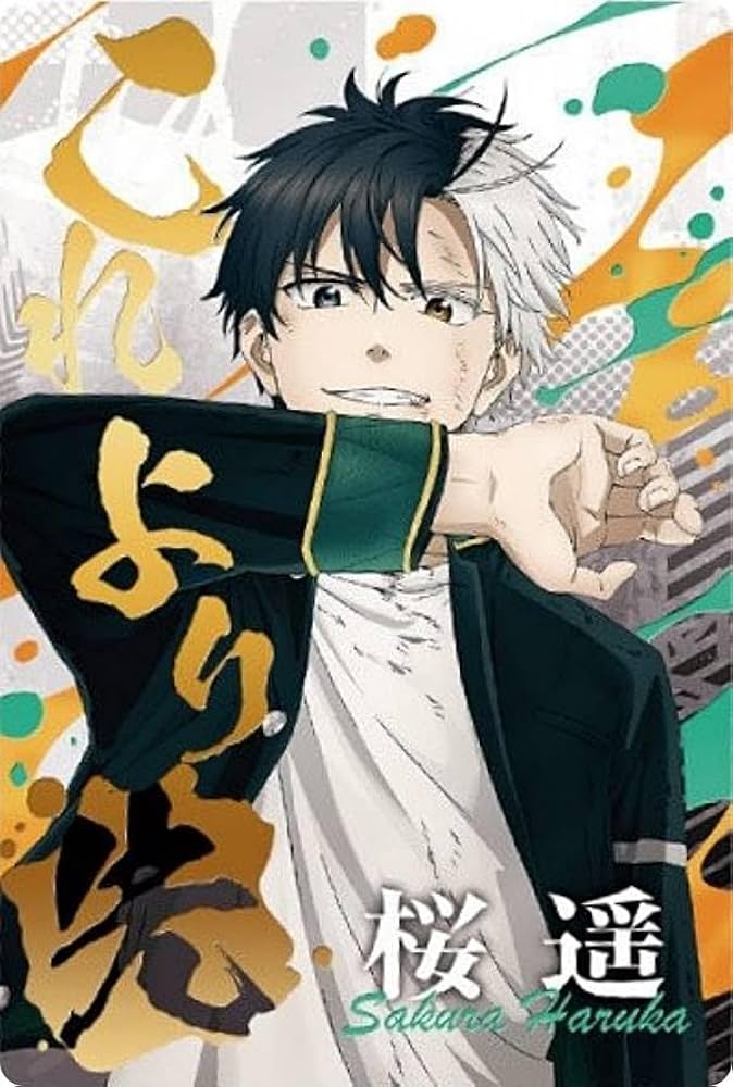 ☆WIND BREAKER ウィンブレ 約50点 まとめ売り 桜遥 Amazon