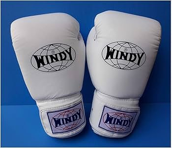 良品】WINDY ボクシンググローブ 16oz ホワイト Amazon.co.jp: WINDY