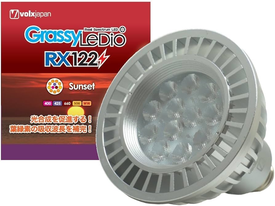 Amazon | ボルクスジャパン Grassy LeDio RX122 Sunset