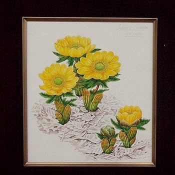 絵画 テクスチャーアート 現代アート ボタニカルアート ボタニカル