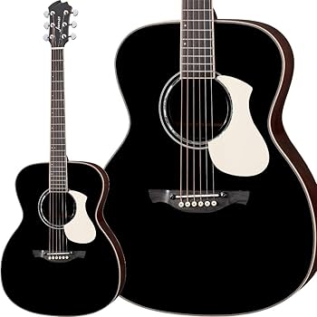 S*m様 「詳細不明」Jms a-500s フルアコ フルアコースティックギター S