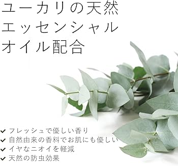 Amazon.co.jp: ecostore(エコストア) デリケート＆ウールウォッシュ