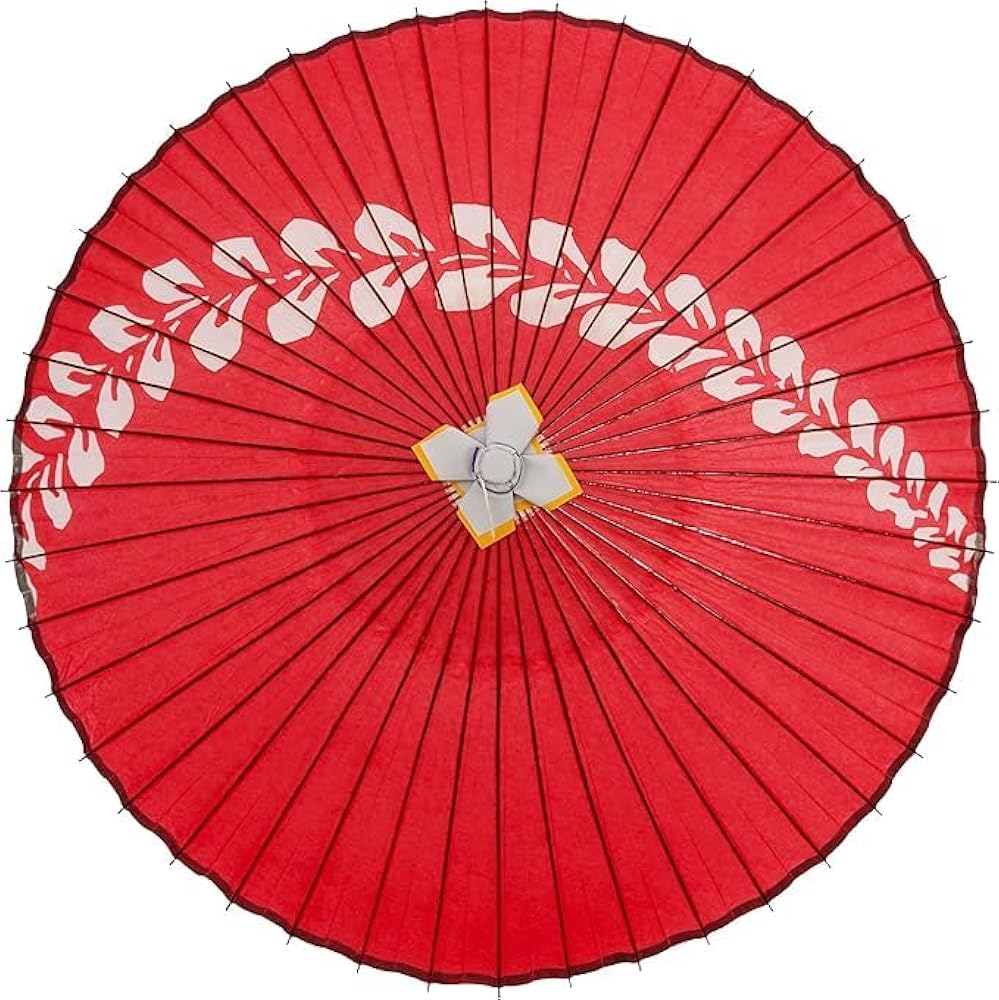 Amazon | 山本竹細工屋 （YAMAMOTOTAKIZAYIKUYA) 蛇の目傘 和傘 雨傘