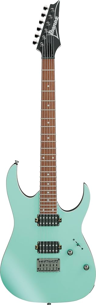 Amazon.com: Ibanez RG421 Electric Guitar - Sea Shore Matte