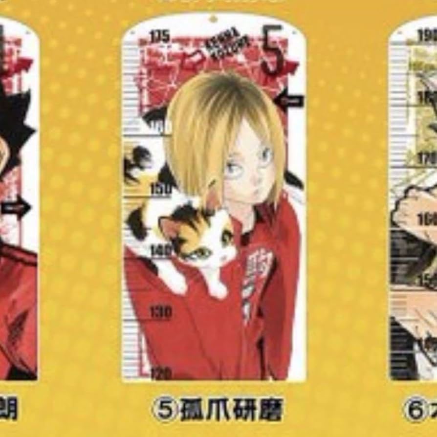 研磨 アクリル板アクリル 等身大 身長計 ハイキュー ゴミ捨て場の決戦