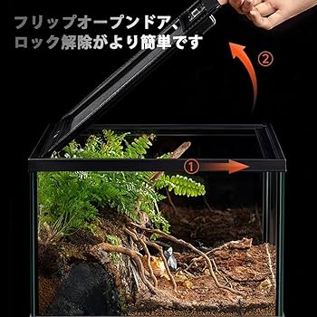 Amazon | 爬虫類 ケージ グラステラリウム 飼育ケース 大 昆虫飼育