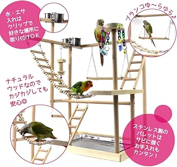 Amazon | fuu バードアスレチック はしごタイプ 小鳥 止まり木 休み場