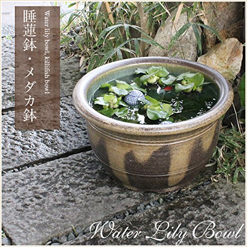 金魚鉢】おしゃれな陶器！人気の大型水鉢のおすすめランキング｜わたし