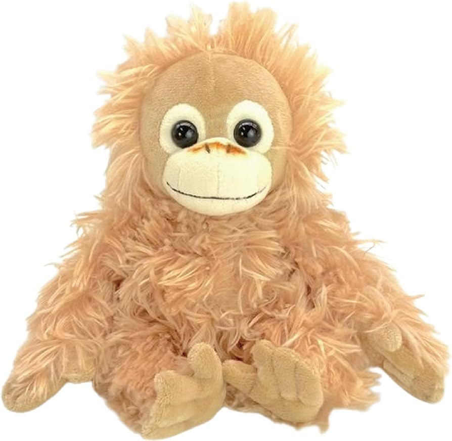 Amazon.co.jp: ナカジマコーポレーション ベイビーココ＆ナツ