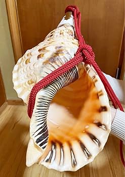 修験道法螺貝37㎝ 山伏 密教 魔除け 熊よけ❣️ホラガイ ほら貝 Amazon