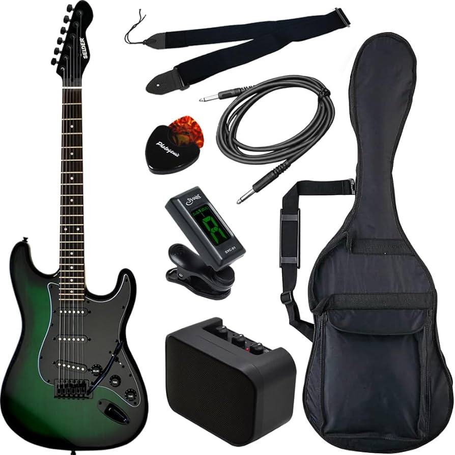 エレキギター SELDER 黒 ソフトケース付き