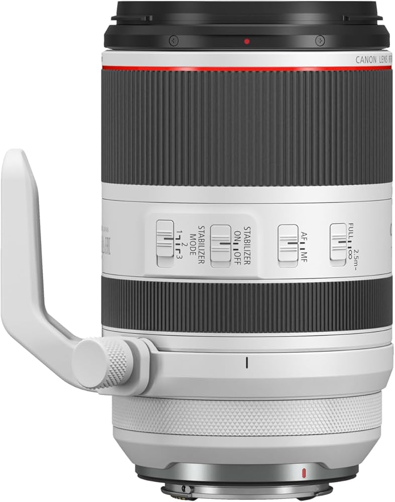 Amazon.com : Canon RF 70-200mm f/2.8 L is USM : Electronics