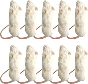 ☆すず＠即購入⭕️プロフ必読☆国産冷凍マウス ファジー 200匹 ☆すず