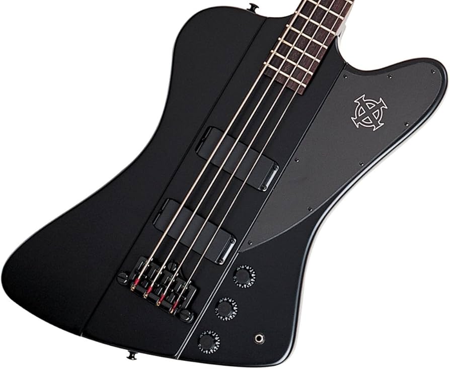 Amazon | Epiphone Goth Thunderbird-IV Pitch Black サンダーバード