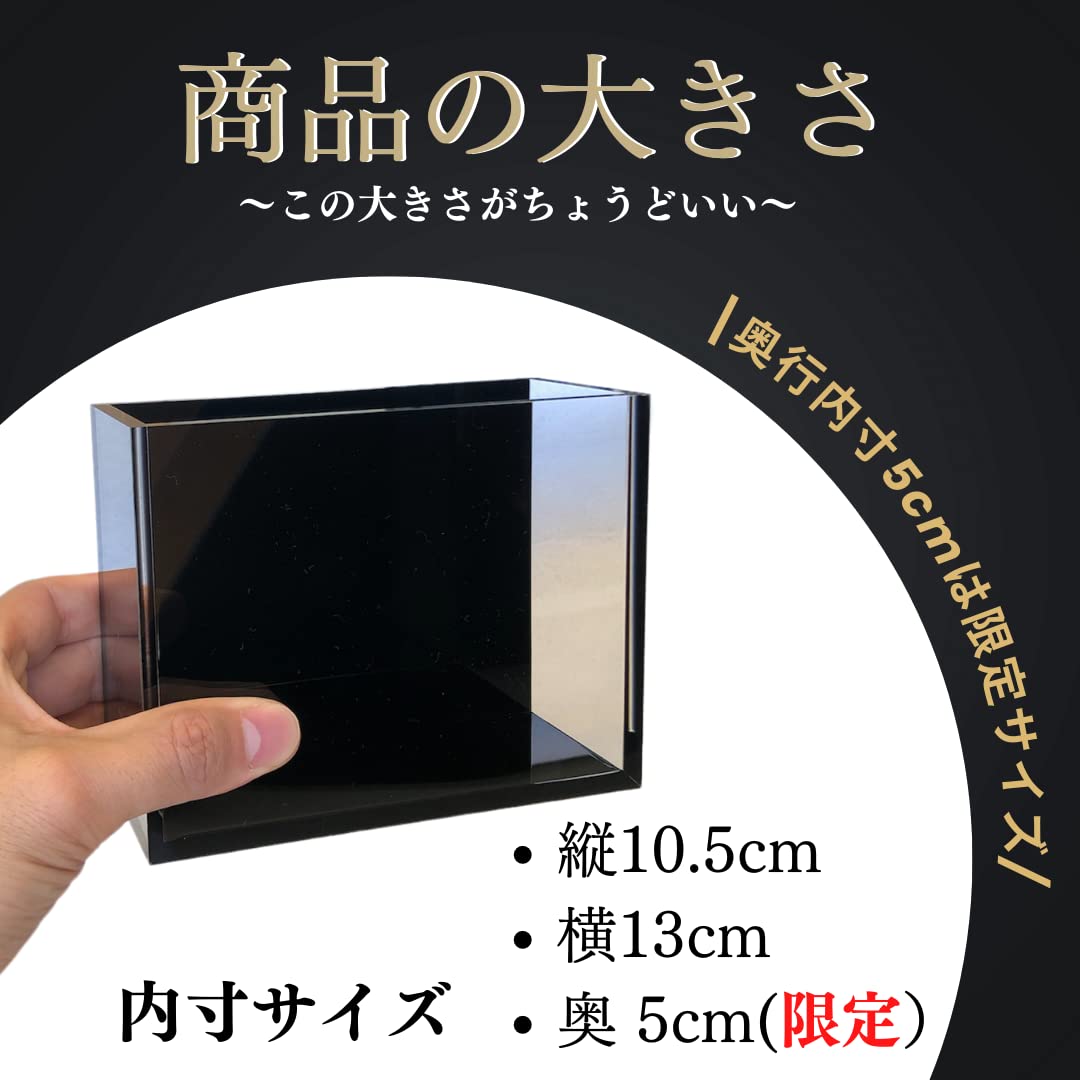 超お得6個セット！！【安永めだか】オリジナル横見ケース 超お得6個