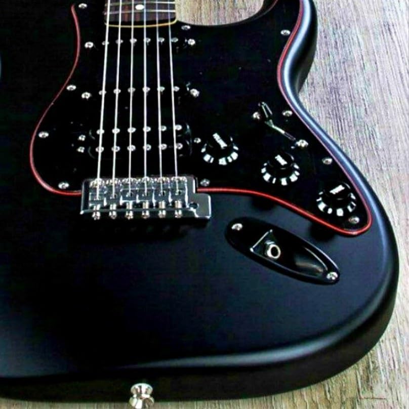 カメ】エレキマンドリン ローズウッド指板（ソリッドボディ） カメ