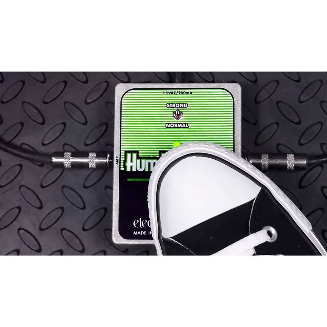 Amazon.com: Electro-Harmonix Hum Debugger Hum Eliminator Pedal