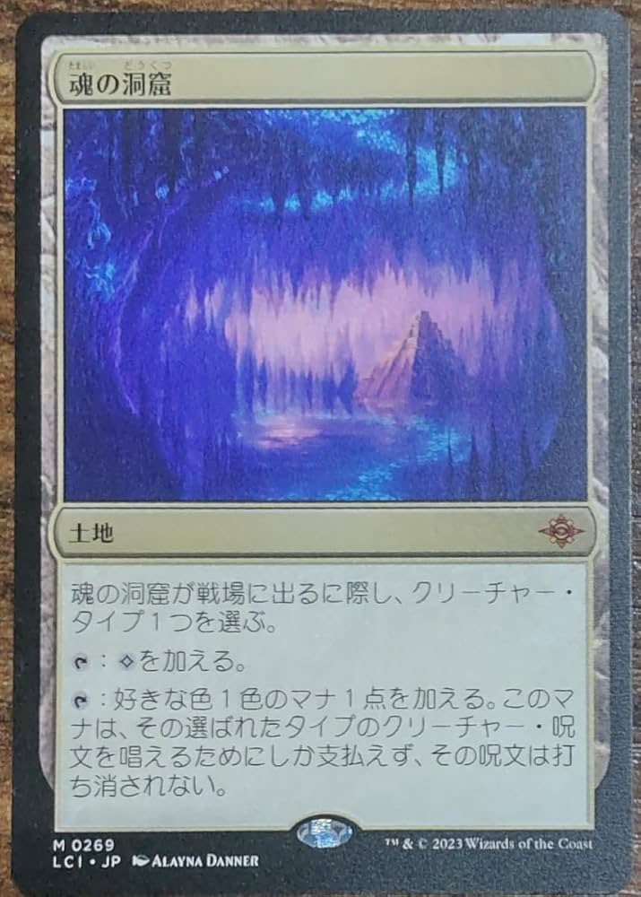 MTG 魂の洞窟 日本語 2枚セット MTG 魂の洞窟 日本語 2枚 【公式通販】