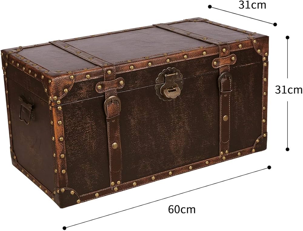 61coXnShPJL._AC_UF1000,