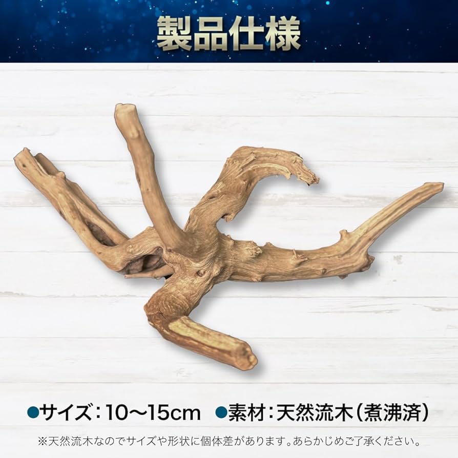 Amazon.co.jp: [AiO JAPAN] 【1個】Sサイズ 形状お任せタイプ