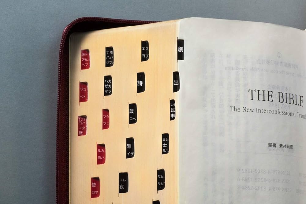 THE BIBLE 旧約聖書続編つき NI35DCZTIミニ判(B7判)青 (聖書 新共同訳