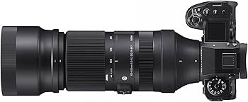 Amazon.com : Sigma 100-400mm F5-6.3 DG DN OS Contemporary
