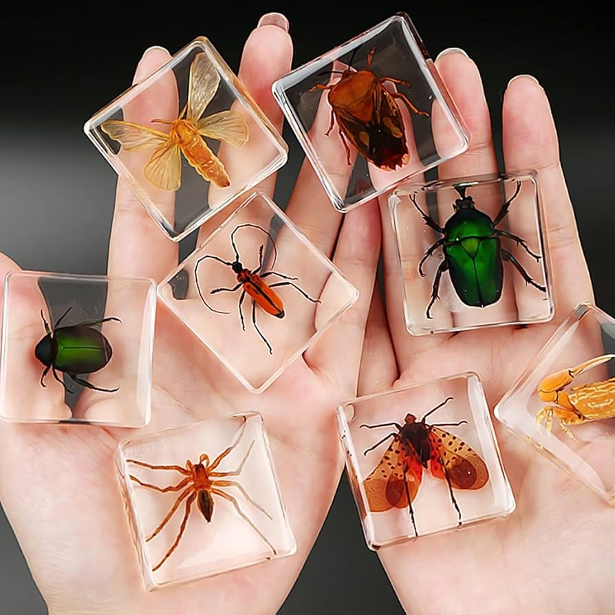 61dD8SfEASS._AC_UF894,