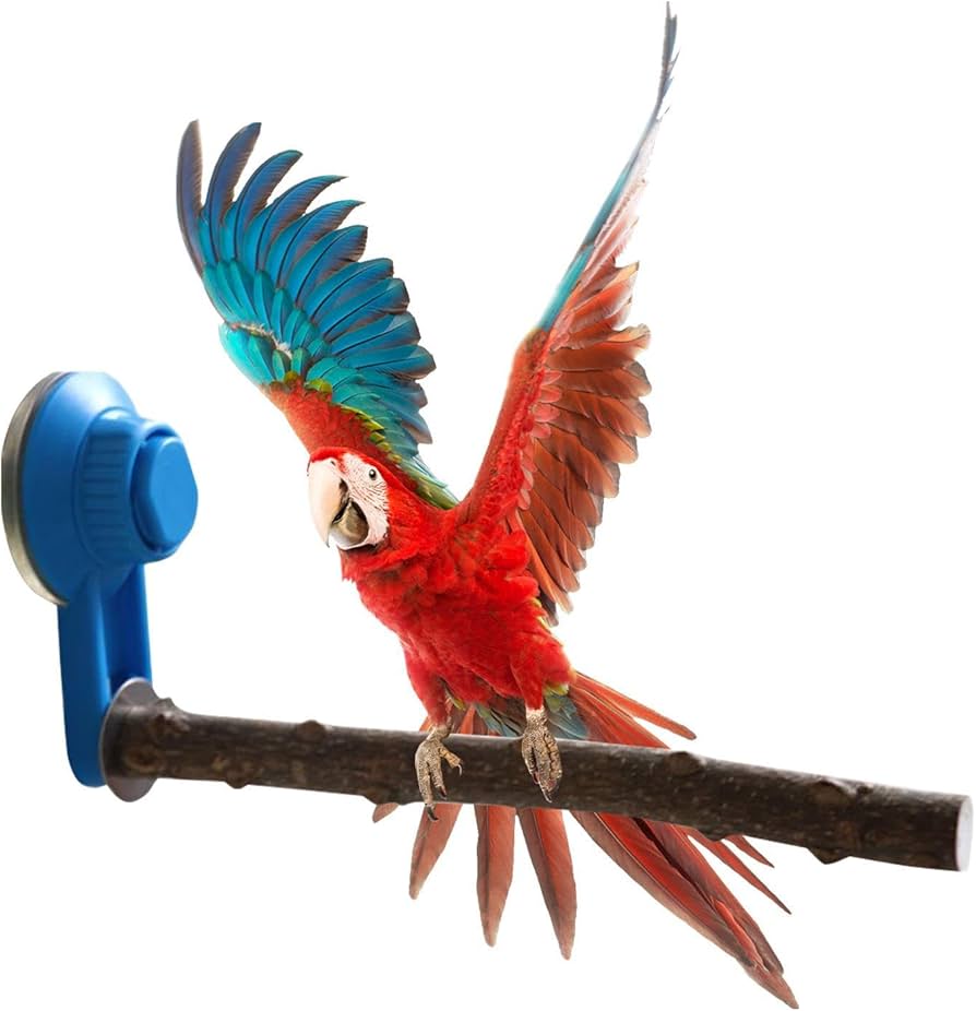 止まり木{タイハクオウム&コンゴウインコ用} tarog13！大型インコ