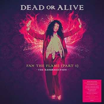 デッド・オア・アライヴ Fan The Flame (Part 1) 宣伝チラシ Dead Or
