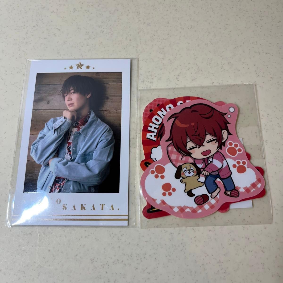 あほの坂田。となりの坂田。さかわん 坂田くじチェキ風カード F 坂田