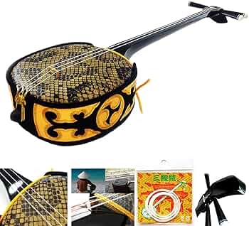 沖縄三線 ケース付き(インナー有り 替え弦多数 沖縄三線 ケース付き