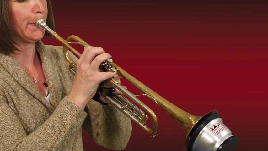 Amazon.com: Denis Wick Adjustable Cup Mute for Trumpet or Cornet