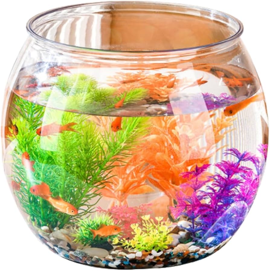 Amazon | ateena 金魚鉢 金魚 水槽 メダカ 鉢 容器 飼育 アクリル