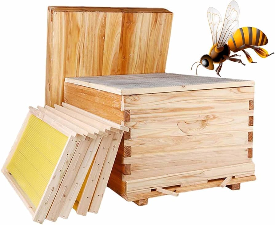 Amazon | 蜜蜂巣箱 ミツバチ 巣箱 養蜂箱 杉材 養蜂箱栽培 蜂蜜蜂の巣