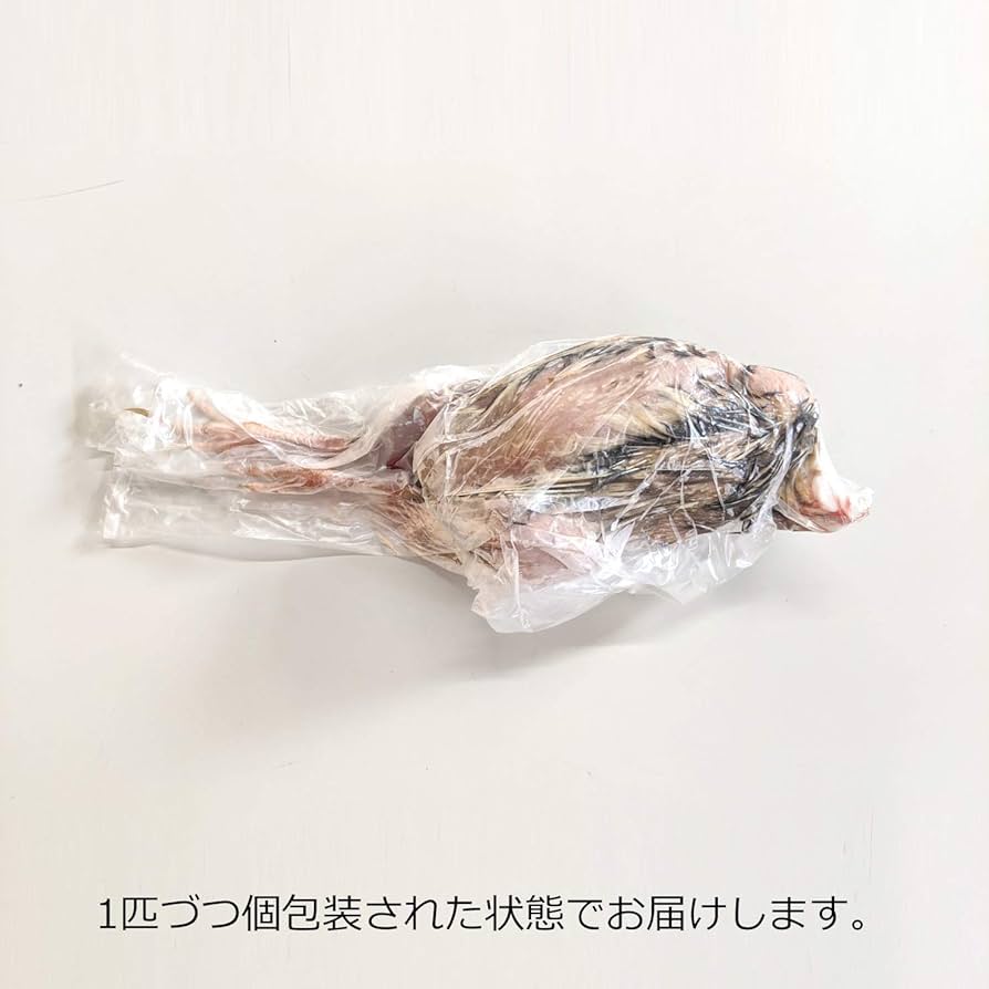 Amazon | [うずらや] 豊橋産 冷凍ウズラ 未処理 25羽1ケース 冷凍