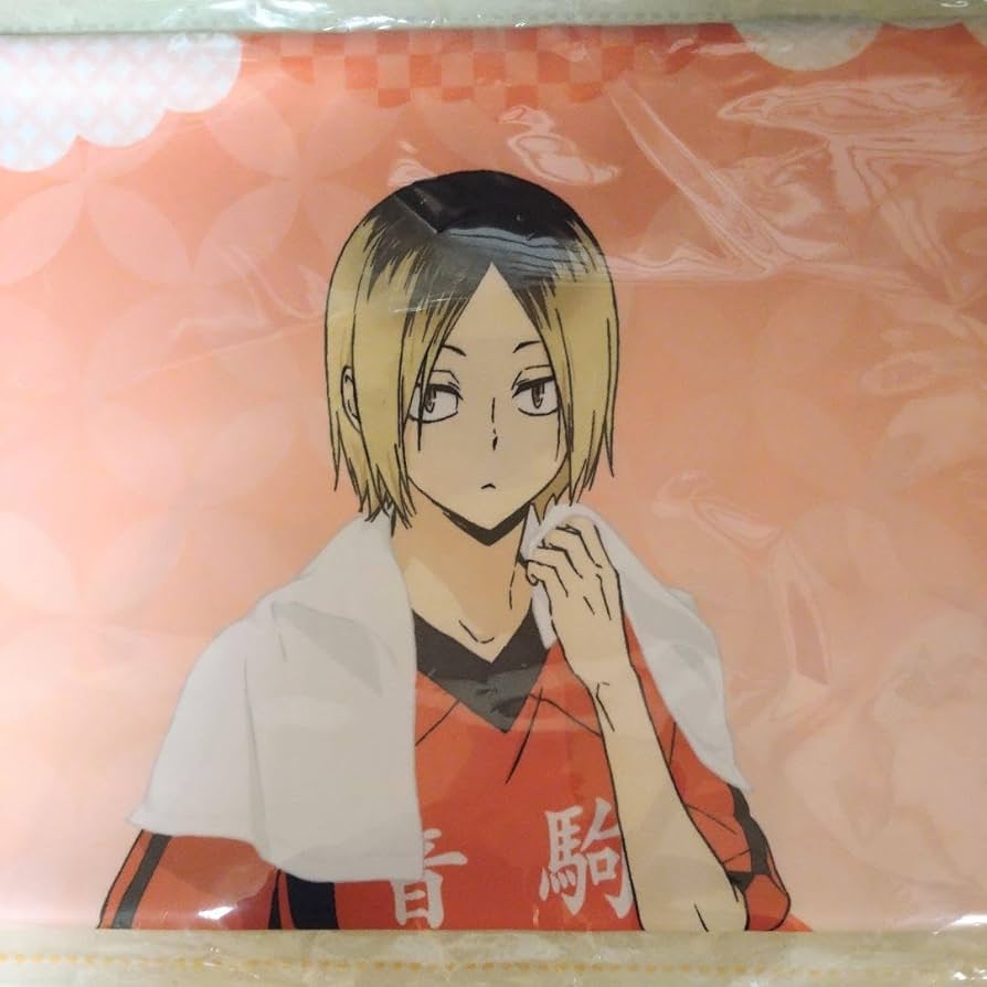 ハイキュー のれん 極楽湯 お風呂ver. 月島 西谷 烏野 アニメ