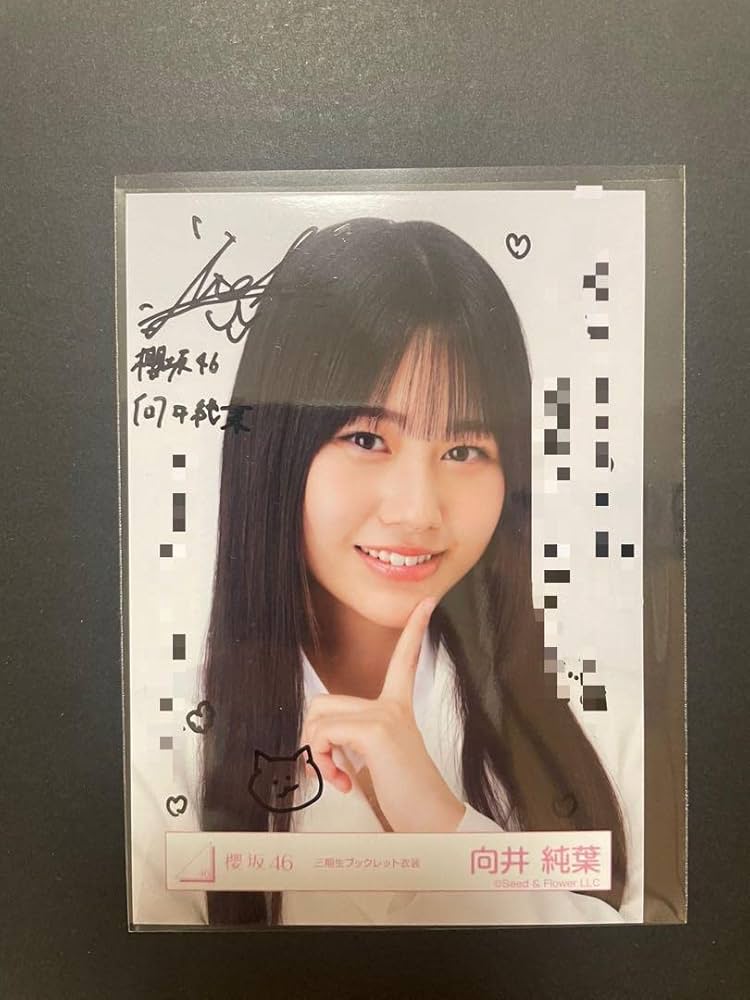 櫻坂46 向井純葉 生写真 直筆サイン入り ブックレット 座り 向井純葉