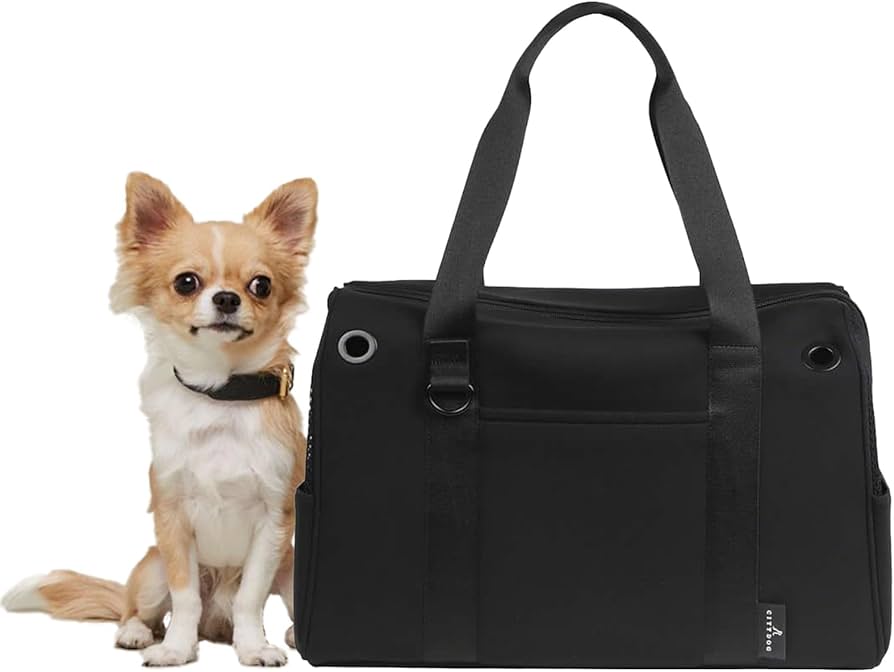 Amazon.co.jp: [citydog/シティドッグ] 犬 キャリーバッグ キャリー