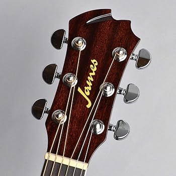 Amazon | James J-500D/Ova ナチュラル アコースティックギター